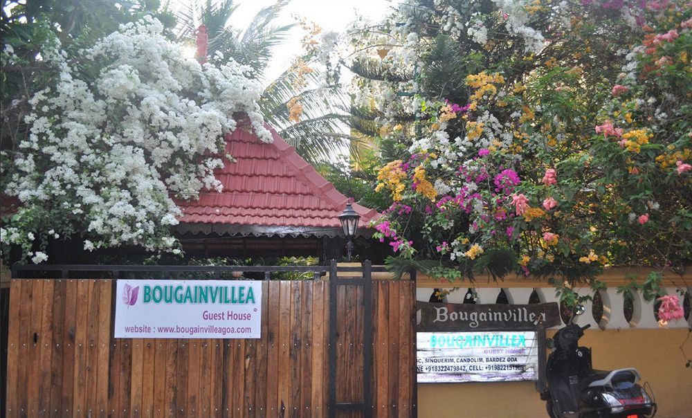 Bougainvillea Guest House Candolim Luaran gambar